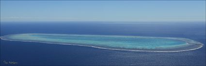 Wistari Reef - QLD (PBH4 00 18457)